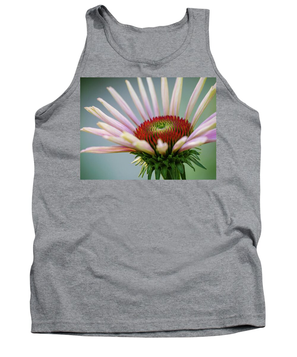 Echinacea Tank Top featuring the photograph Purple Coneflower 3 by Todd Bannor