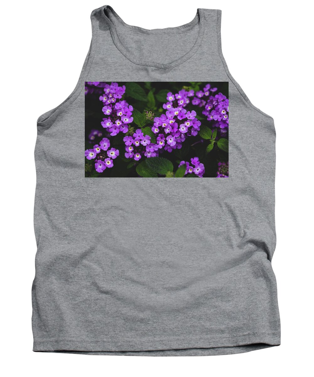 Flowers & Plants Tank Top featuring the photograph Purple Lantana by Adam Johnson