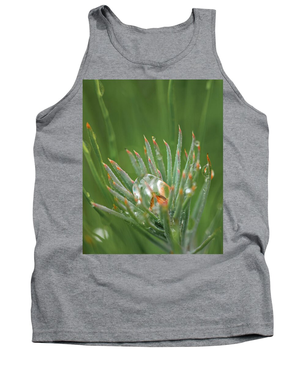 Rain Tank Top featuring the photograph Rain On Pine Bud by Phil And Karen Rispin
