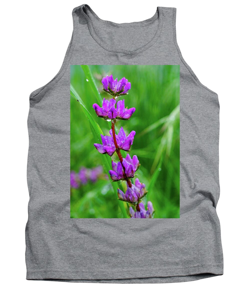 Lupine Tank Top featuring the photograph Rain Soaked Lupine Three Rivers by Brett Harvey