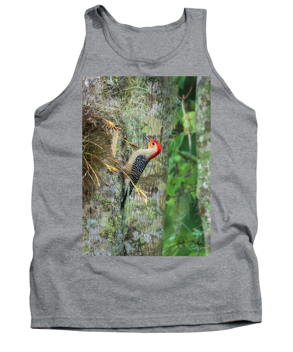 Red-bellied Woodpecker Tank Top featuring the photograph Red-bellied Woodpecker by Steven Sparks