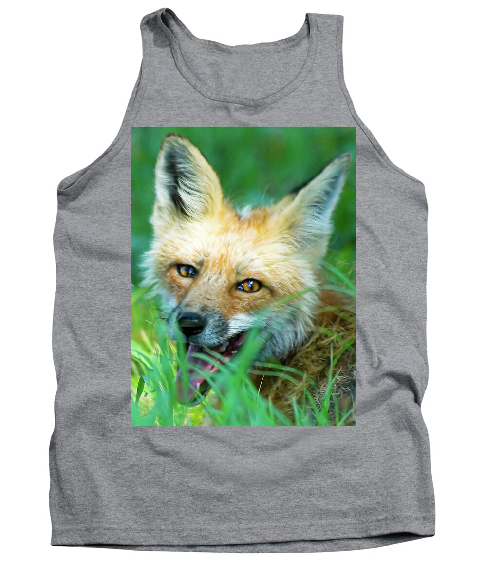 Red Fox Tank Top featuring the photograph Red Fox by Gary Beeler