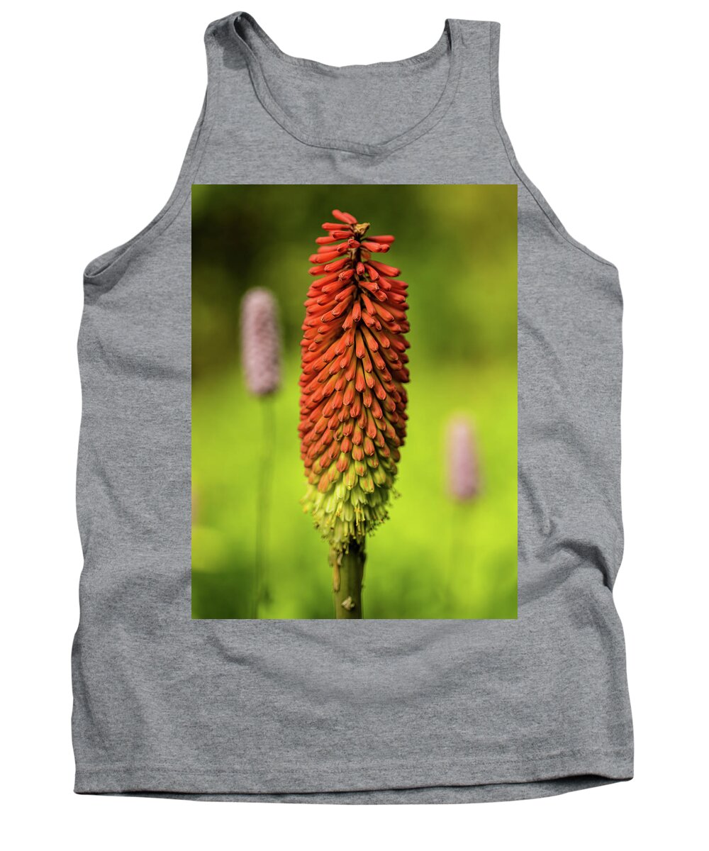 Spring Tank Top featuring the photograph Red hot poker by Average Images