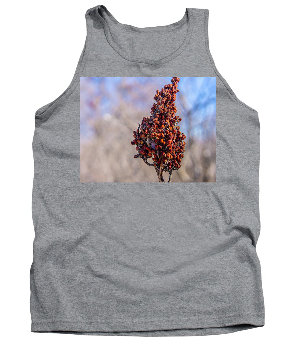 Red Plant Blurry Background Tank Top featuring the photograph Red Plant on a Blurry Background by David Morehead