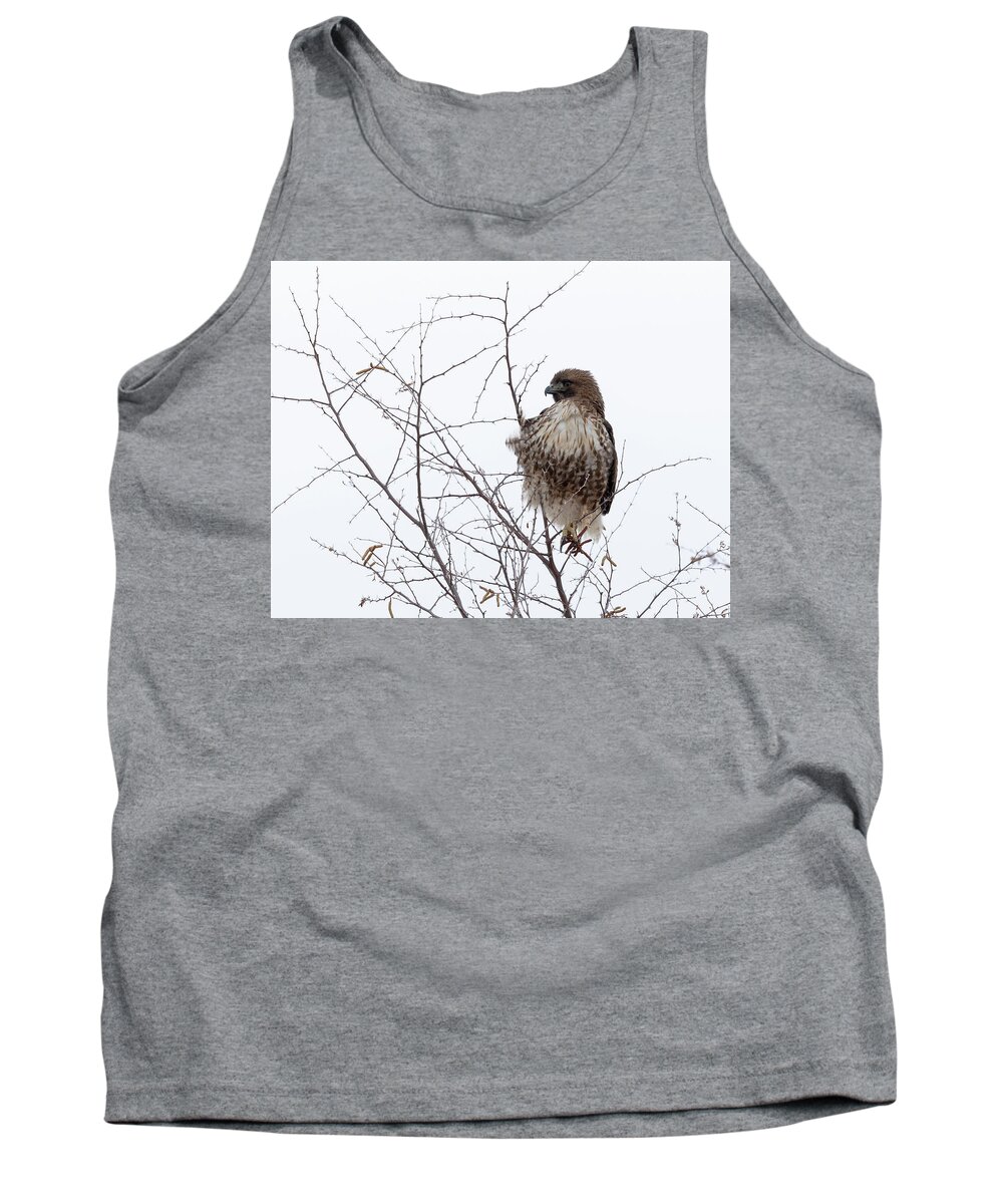 Birds Of Prey Tank Top featuring the photograph Red-tailed Hawk by Maresa Pryor-Luzier