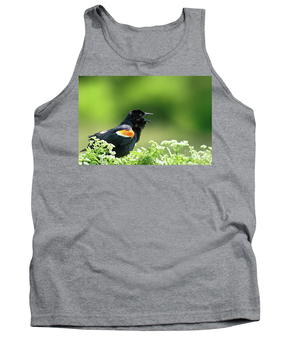 Red Winged Blackbird Tank Top featuring the photograph Red Winged Blackbird trills by Rehna George