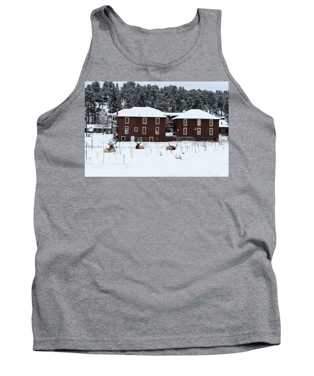Elk Tank Top featuring the photograph Resting Elk - 9131 by Jerry Owens