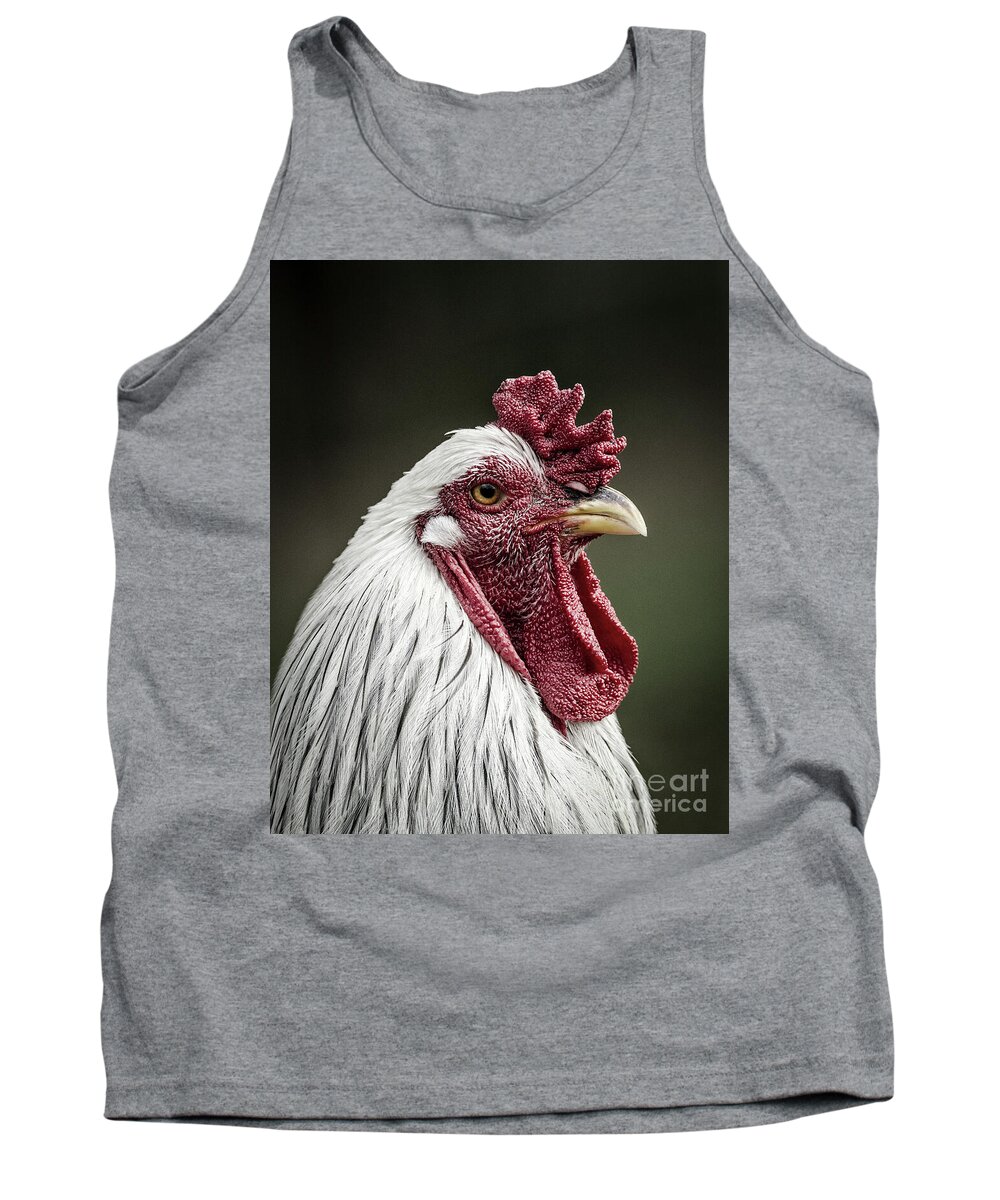Brahma Pootra Tank Top featuring the photograph Rooster by Maresa Pryor-Luzier