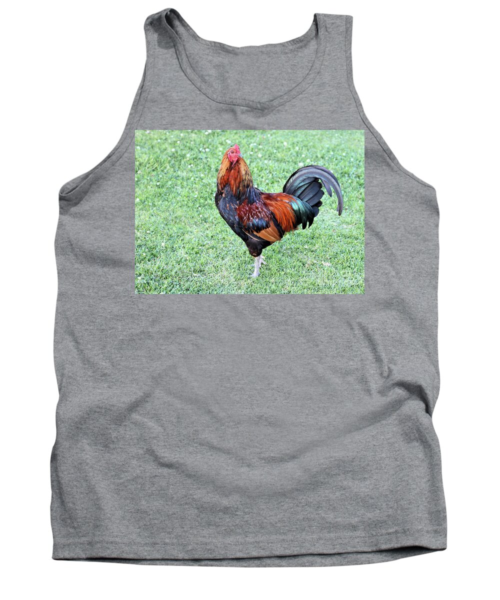 Rooster Tank Top featuring the photograph Rooster by Vivian Krug Cotton