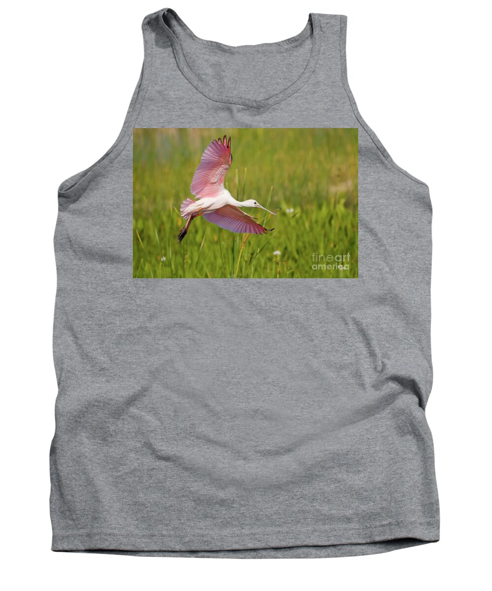 Spoonbill Tank Top featuring the photograph Roseata Spoonbill by Les Greenwood