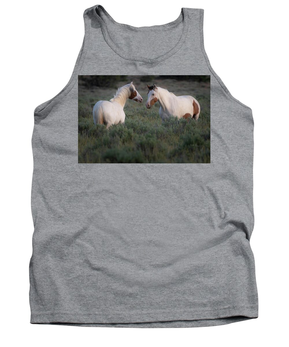 Wild Horses Tank Top featuring the photograph Sagebrush Angels by Mary Hone