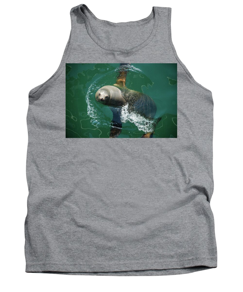 Seal Tank Top featuring the photograph Sea You by Jennifer Kane Webb