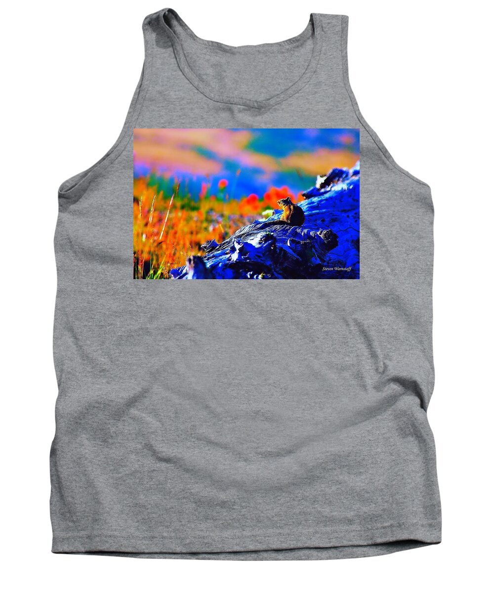 Mt. St. Helens Tank Top featuring the photograph Sharing the Sunset by Steve Warnstaff