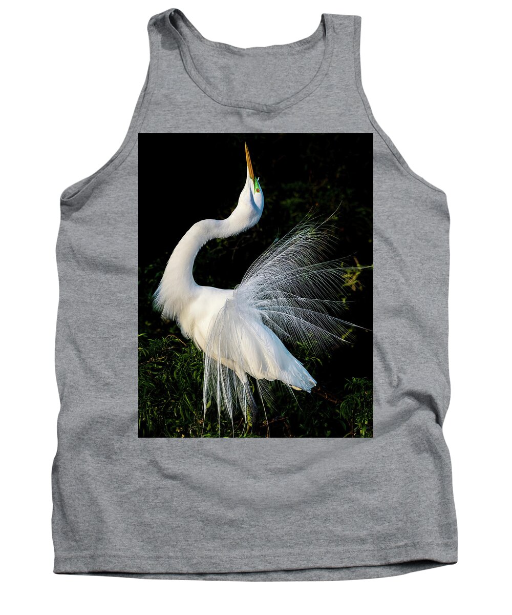Great Egret Tank Top featuring the photograph Showoff II by Jim Miller
