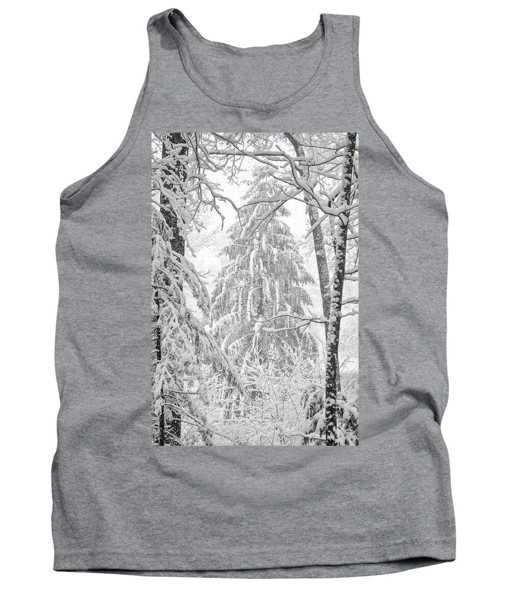 Pine Tank Top featuring the photograph Snow Pine by Steven Nelson