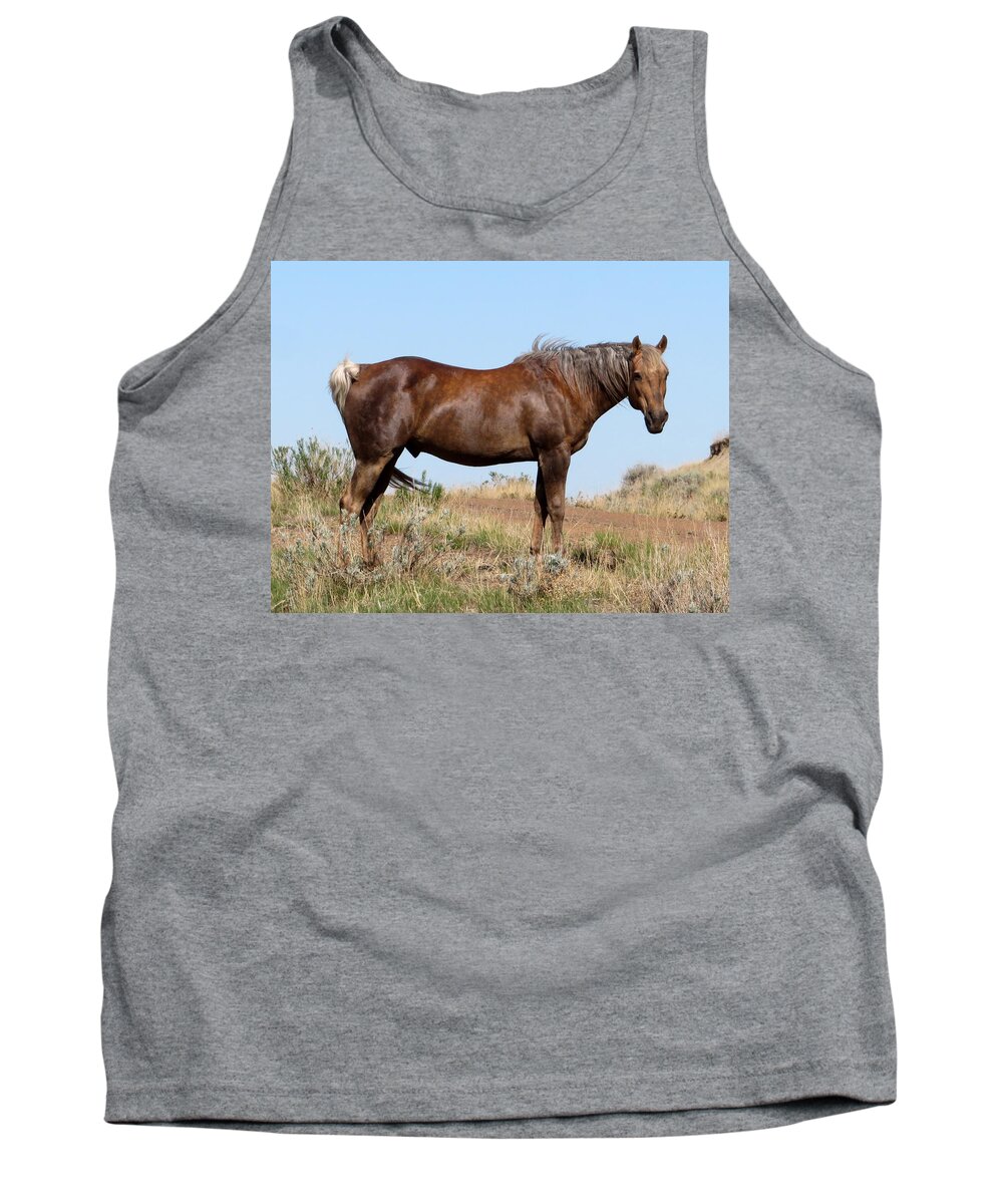Horse Tank Top featuring the photograph Sooty Palomino by Katie Keenan