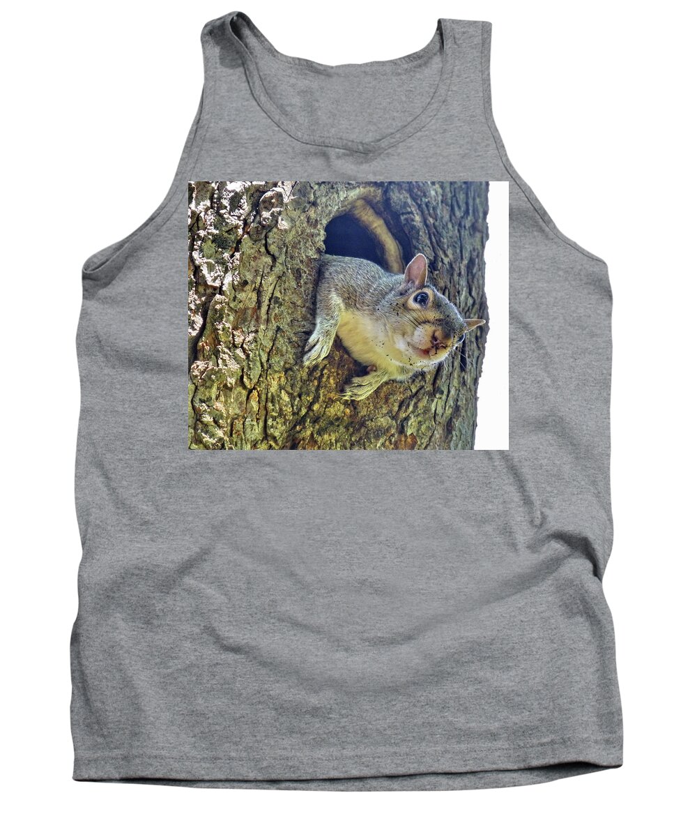 Eastern Gray Squirrel Tank Top featuring the photograph Sorry, this Hollow needs cleaning up by Lyuba Filatova
