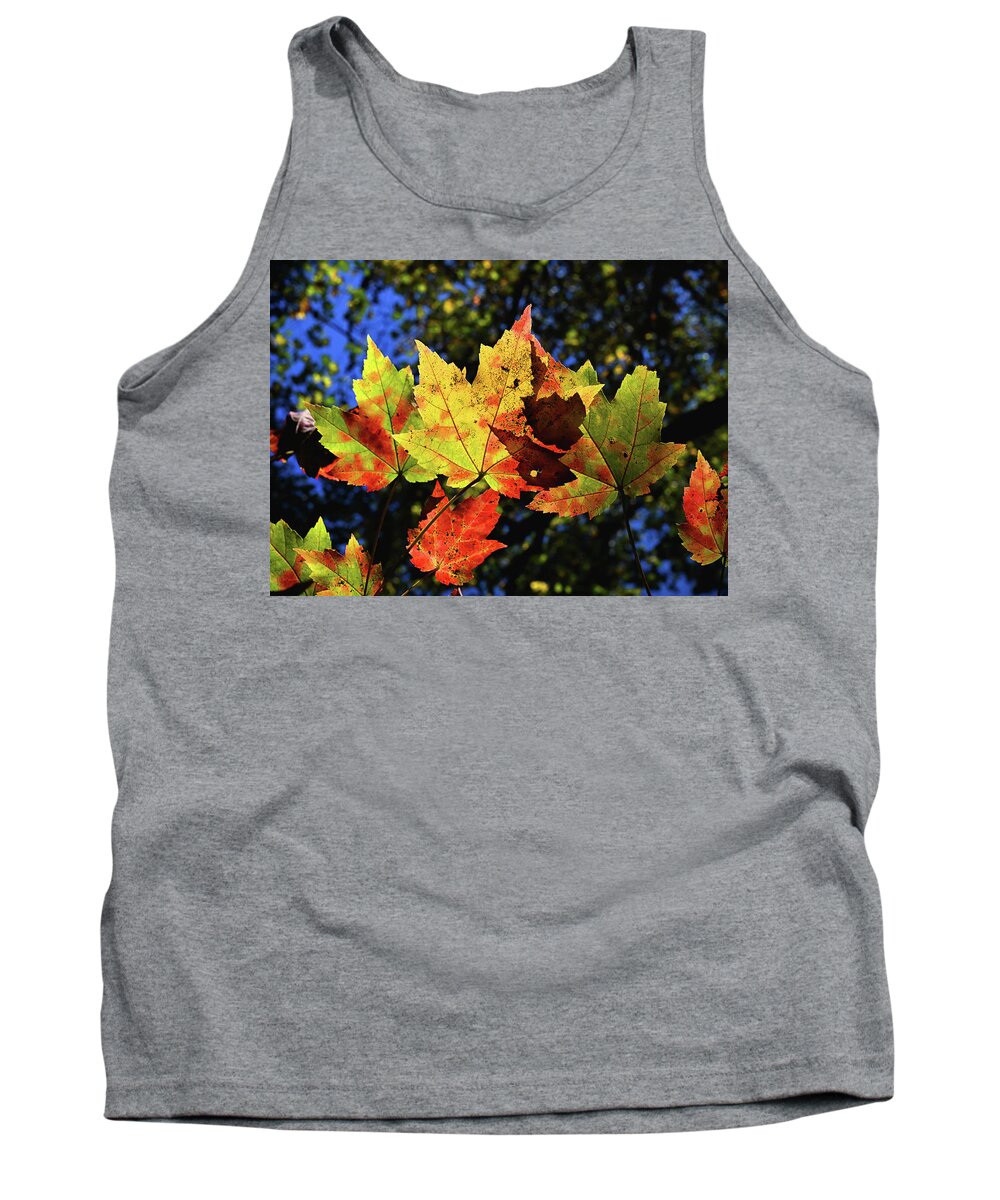 Fall Tank Top featuring the photograph Speckled Maple by Steven Nelson