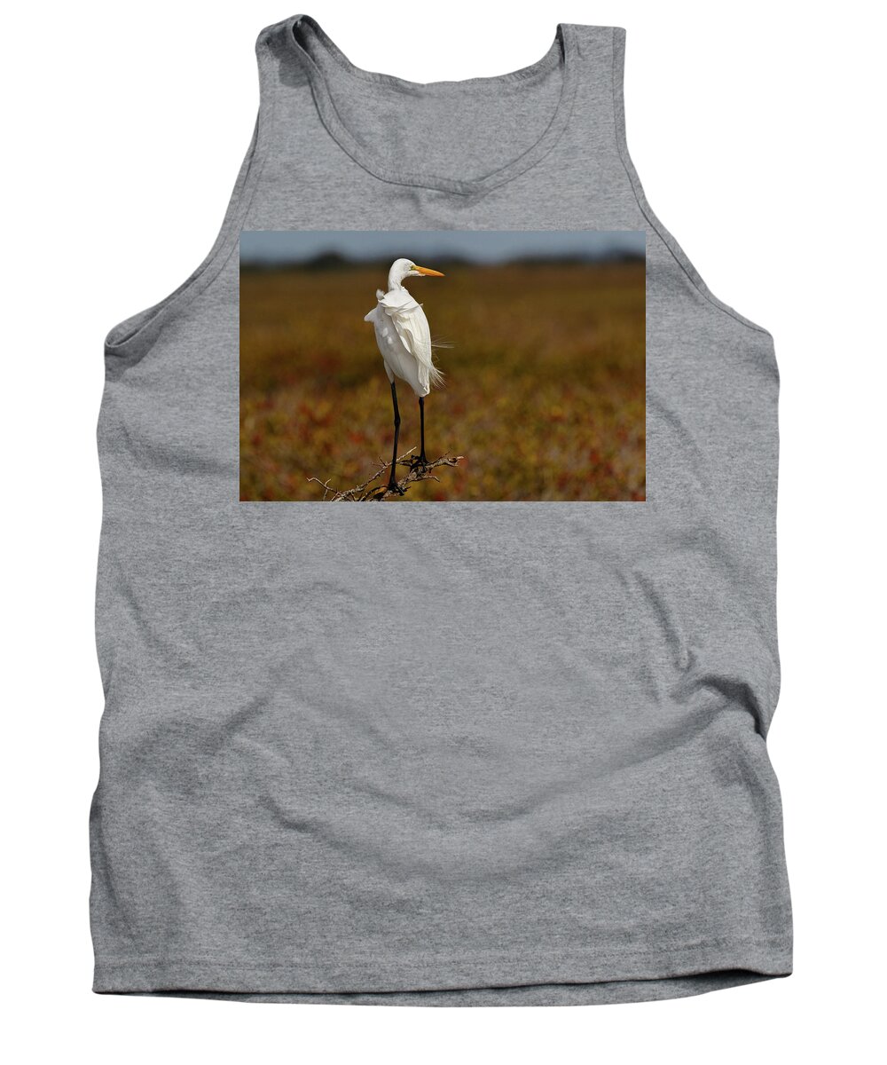 Bird Tank Top featuring the photograph Standing in the Wind by Les Greenwood