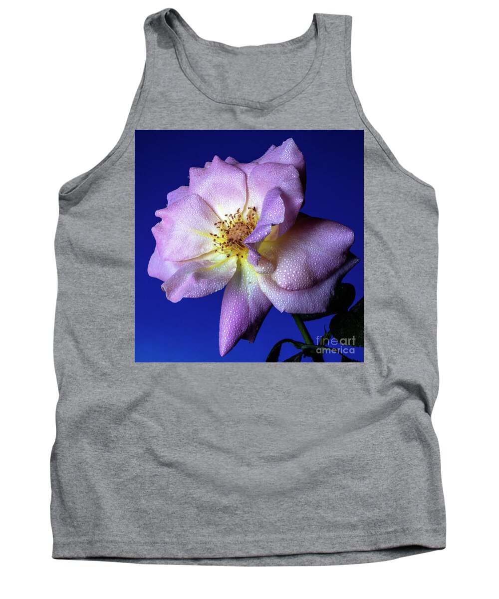 Rose Tank Top featuring the photograph Peaceful by Doug Norkum