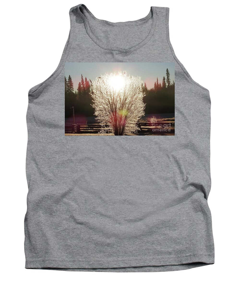 Sunrise Tank Top featuring the photograph Sunrise on the meadow. by Nicola Finch
