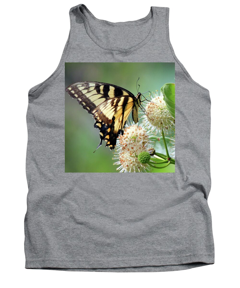 Butterfly Tank Top featuring the photograph Swallowtail by Carolyn Stagger Cokley