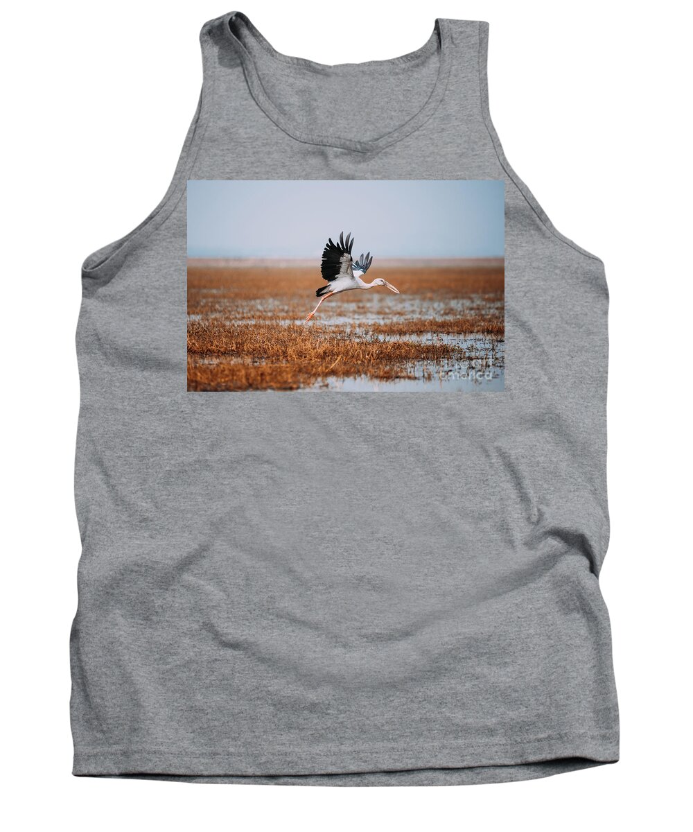Bird Tank Top featuring the photograph Take Off by Dheeraj Mutha