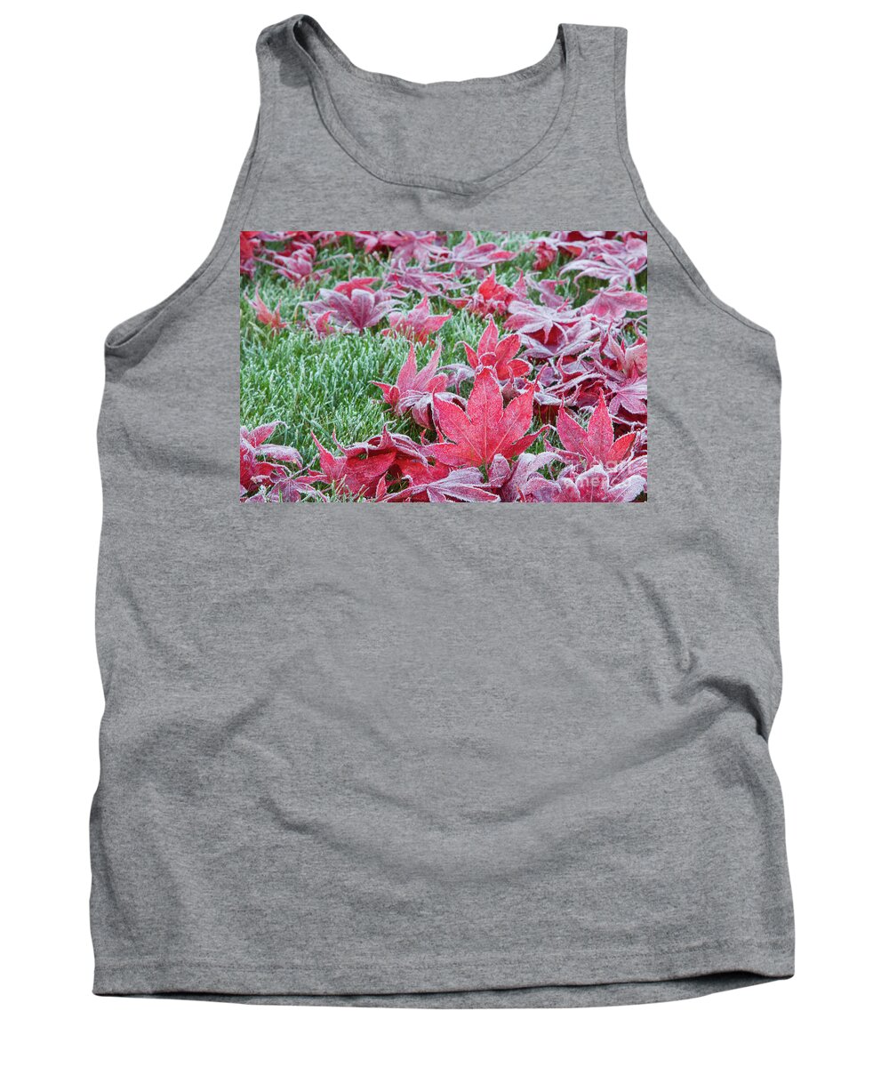 Maple Tank Top featuring the photograph The Frosted Fallen by Marilyn Cornwell