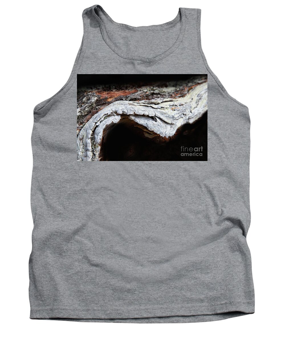 Abstracts Tank Top featuring the photograph The Journey by Marilyn Cornwell