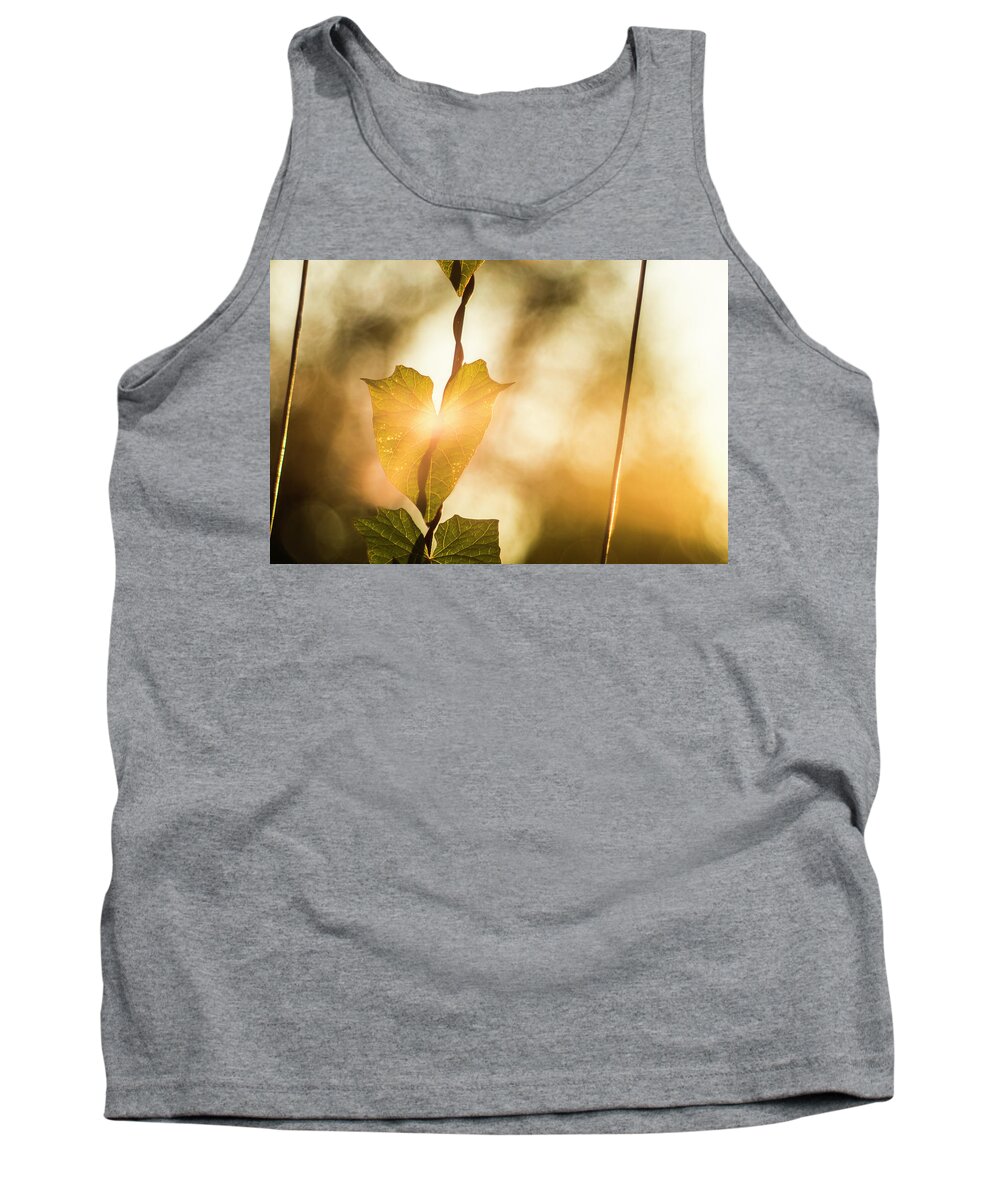 Plant Tank Top featuring the photograph The touch of dawn by Maria Dimitrova