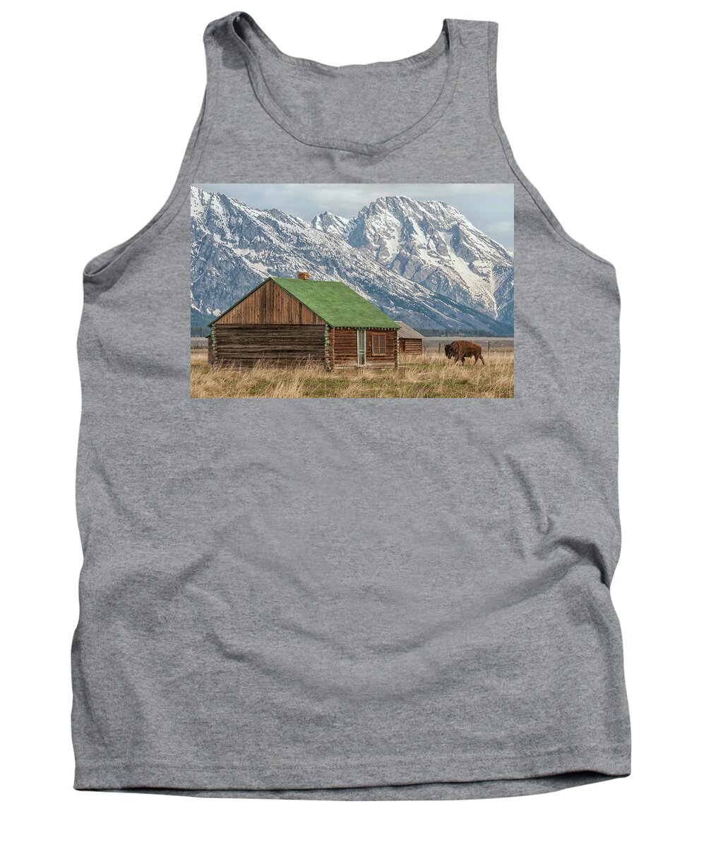 Animals Tank Top featuring the photograph The Visitor by CR Courson