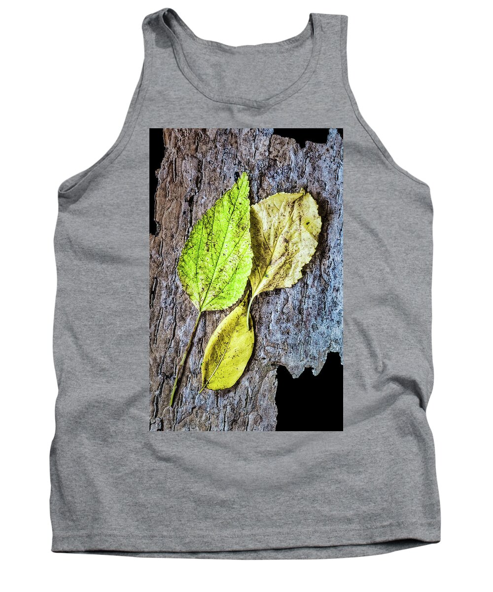 Autumn Tank Top featuring the photograph Three Autumn Leaves On Bark by Gary Slawsky