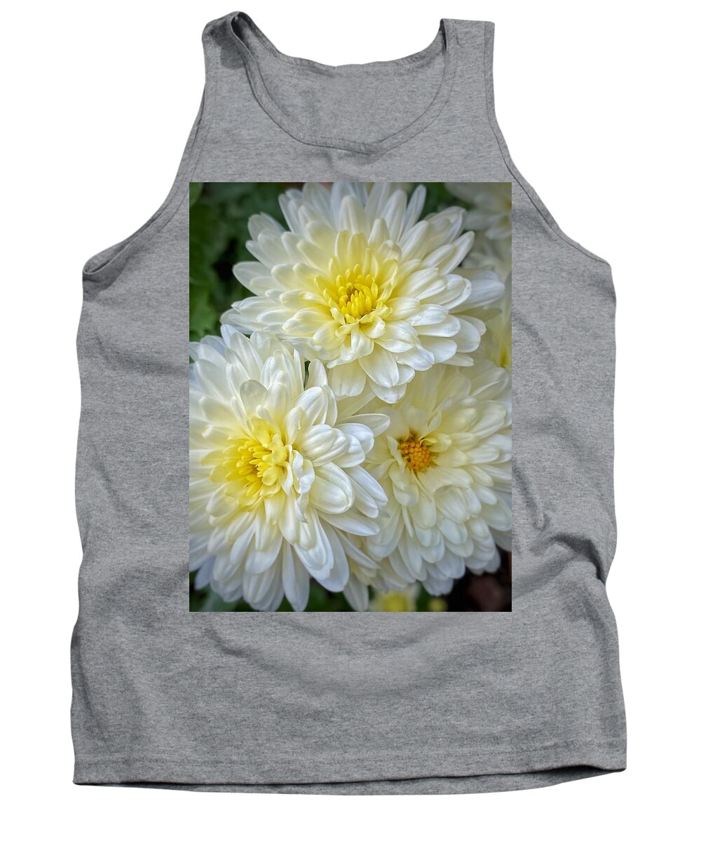 White And Yellow Mums Tank Top featuring the photograph Mums by Jerry Abbott