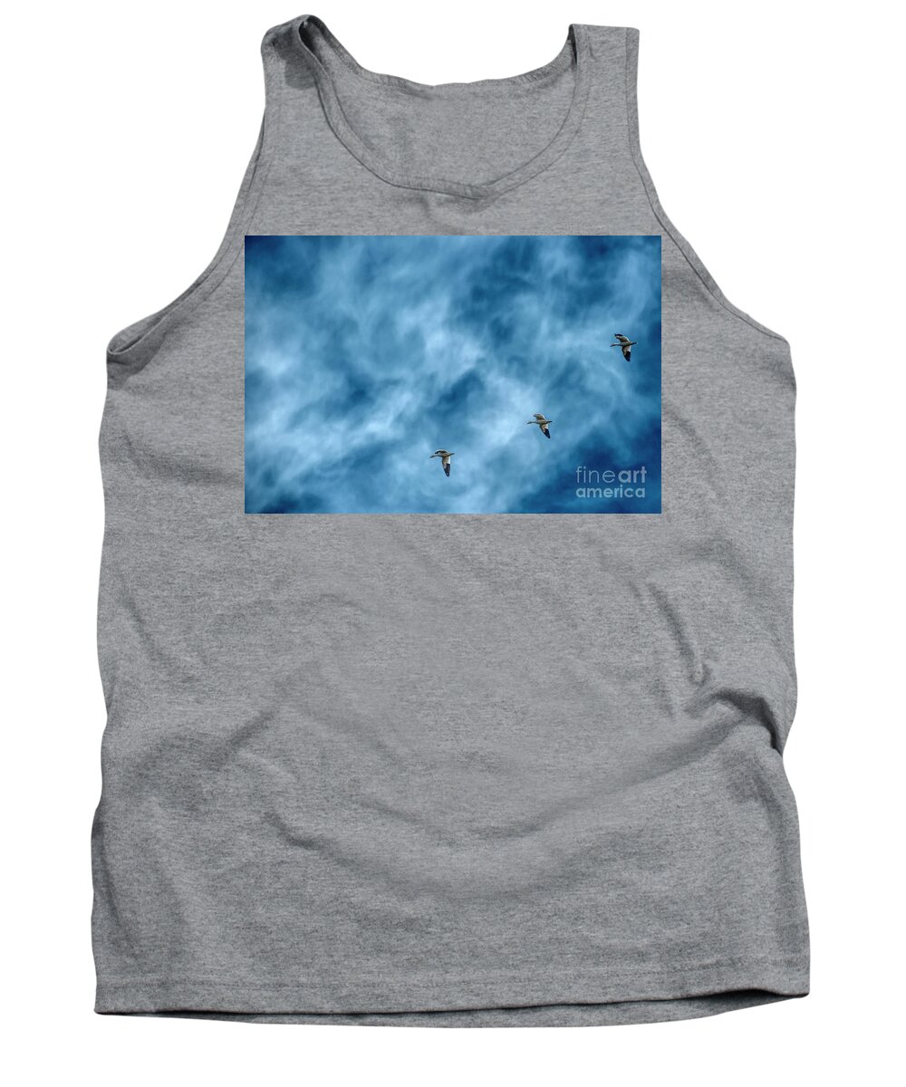 Snow Tank Top featuring the photograph Three Snow Geese by Pamela Dunn-Parrish