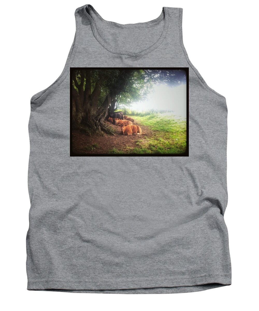 English Landscape Tank Top featuring the photograph Timeless by Mark Egerton