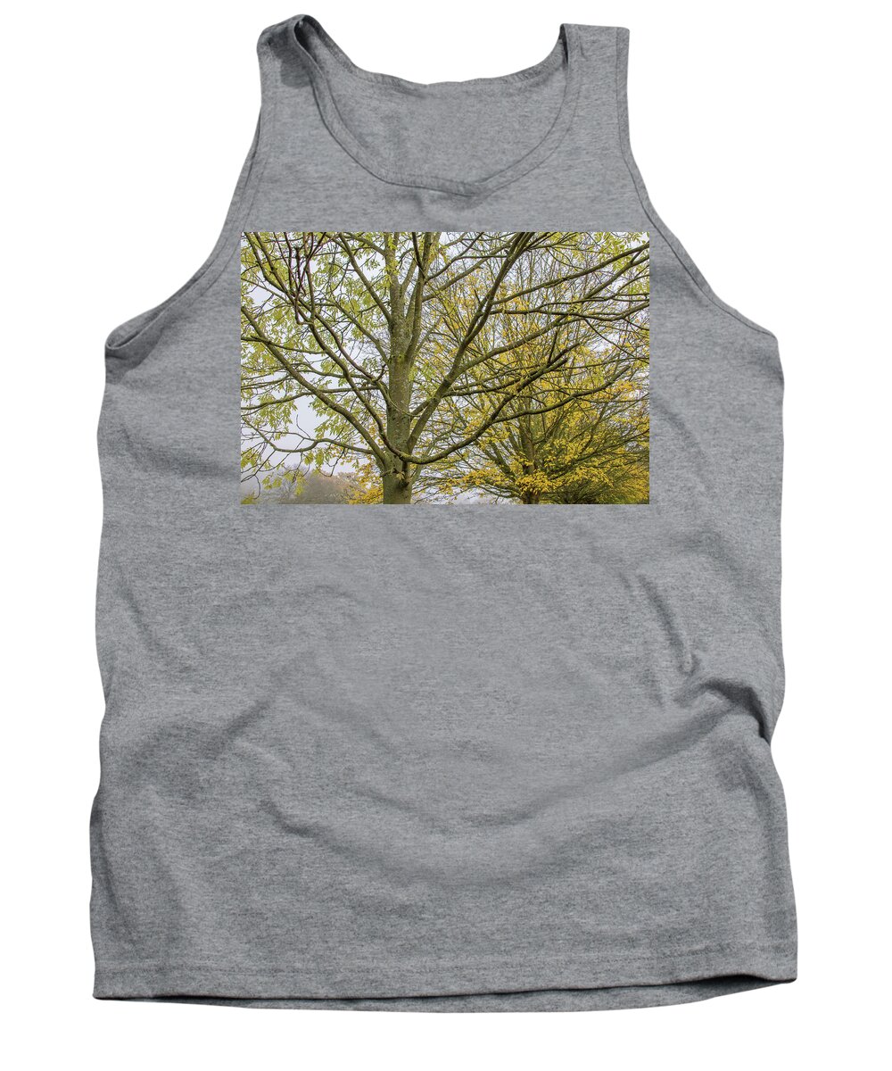 Trent Park Tank Top featuring the photograph Trent Park Trees Fall 1 by Edmund Peston