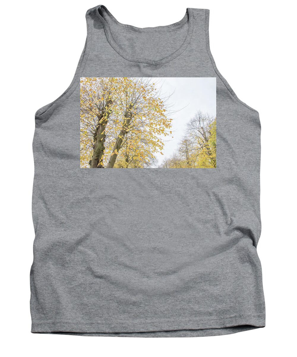 Trent Park Tank Top featuring the photograph Trent Park Trees Fall 17 by Edmund Peston