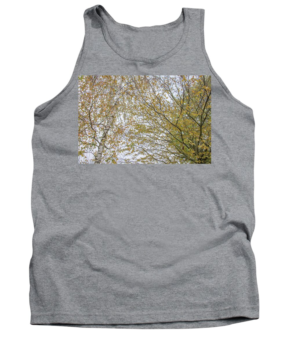 Trent Park Tank Top featuring the photograph Trent Park Trees Fall 4 by Edmund Peston