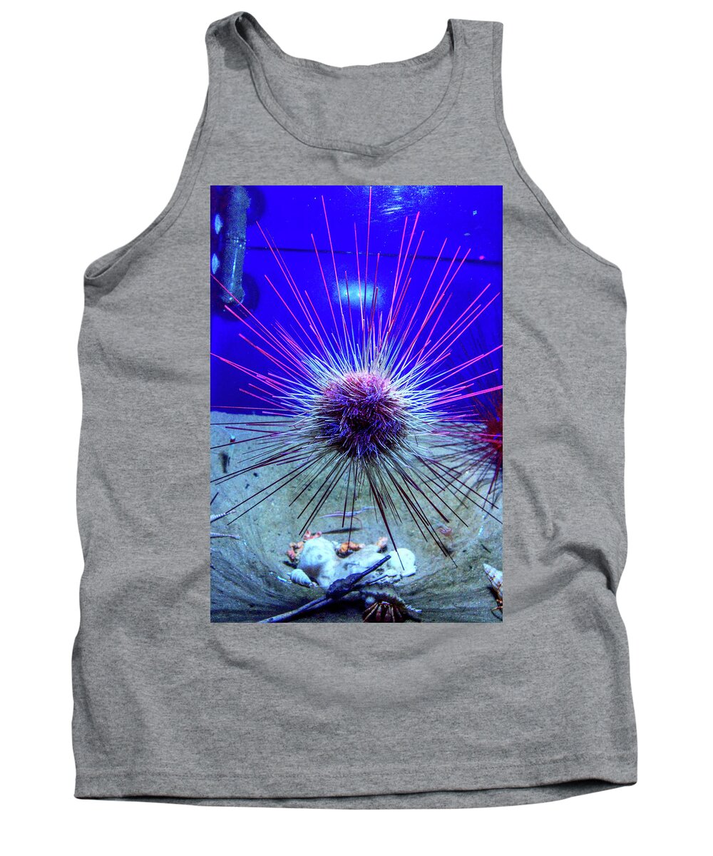Sea Urchin Tank Top featuring the photograph Urchin by Eric Hafner