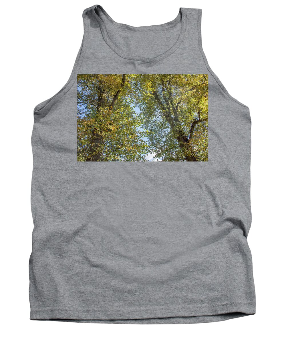 Waterlow Park Tank Top featuring the photograph Waterlow Park Trees Fall 1 by Edmund Peston