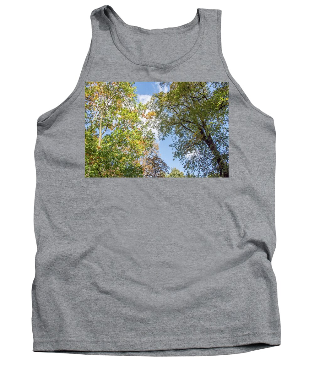 Waterlow Park Tank Top featuring the photograph Waterlow Park Trees Fall 2 by Edmund Peston
