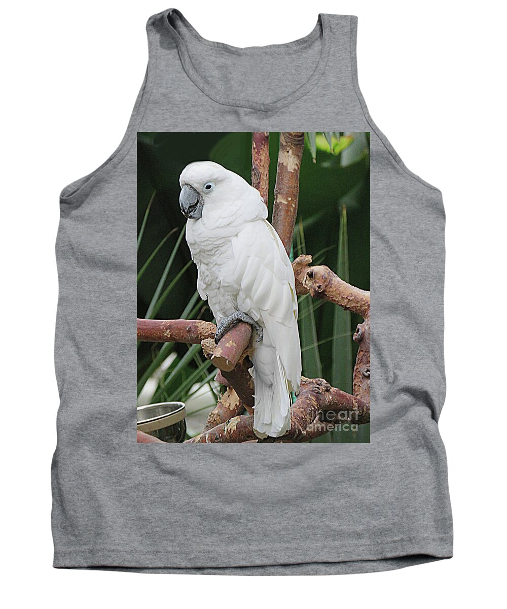 Canada Tank Top featuring the photograph White as Snow by Mary Mikawoz