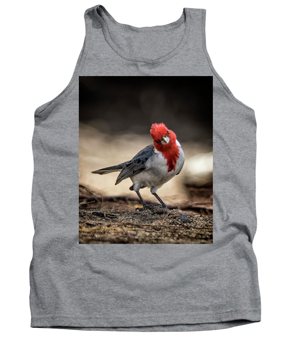 Red Crested Cardinal Tank Top featuring the photograph Who is Checking Out Who by Belinda Greb