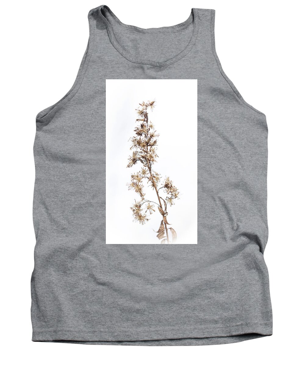 Wildflower Tank Top featuring the photograph Wild Aster Seeds by Carol Senske