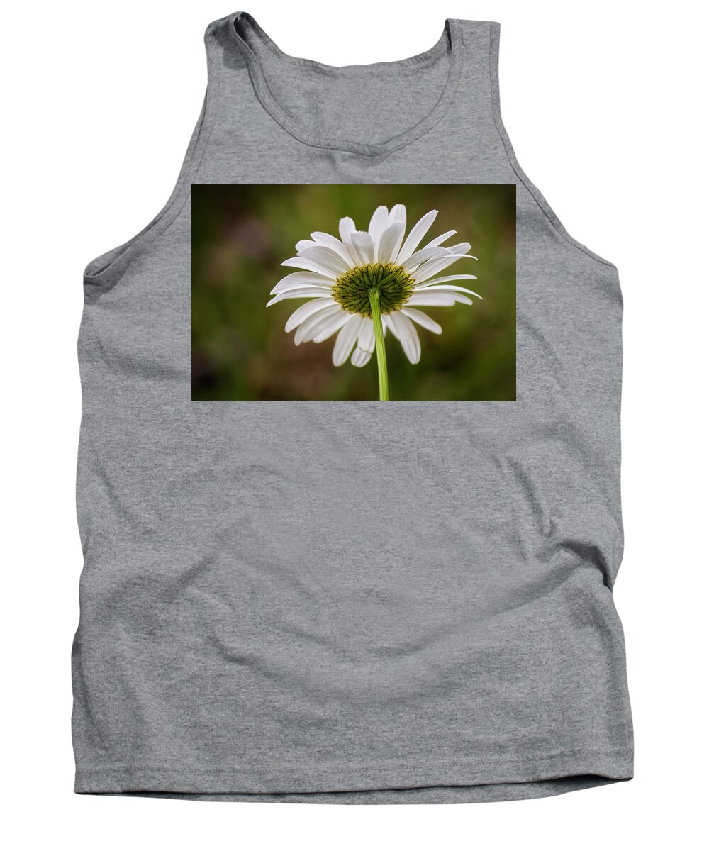 Daisy Tank Top featuring the photograph Wild Forest Daisy by Bob Decker