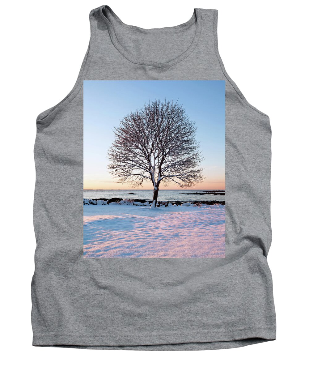 Winter Tank Top featuring the photograph Winter on the Coast by Eric Gendron