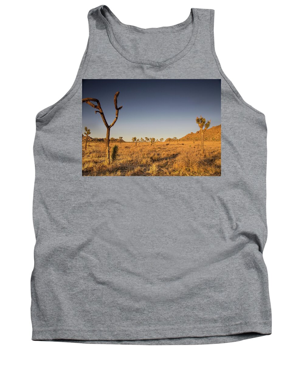 Joshua Tree National Park Sunset Tank Top featuring the photograph Winter sunset in the desert by Kunal Mehra