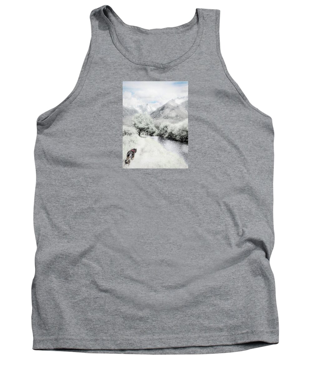 Dog Tank Top featuring the photograph Winter Walk by Ed Taylor