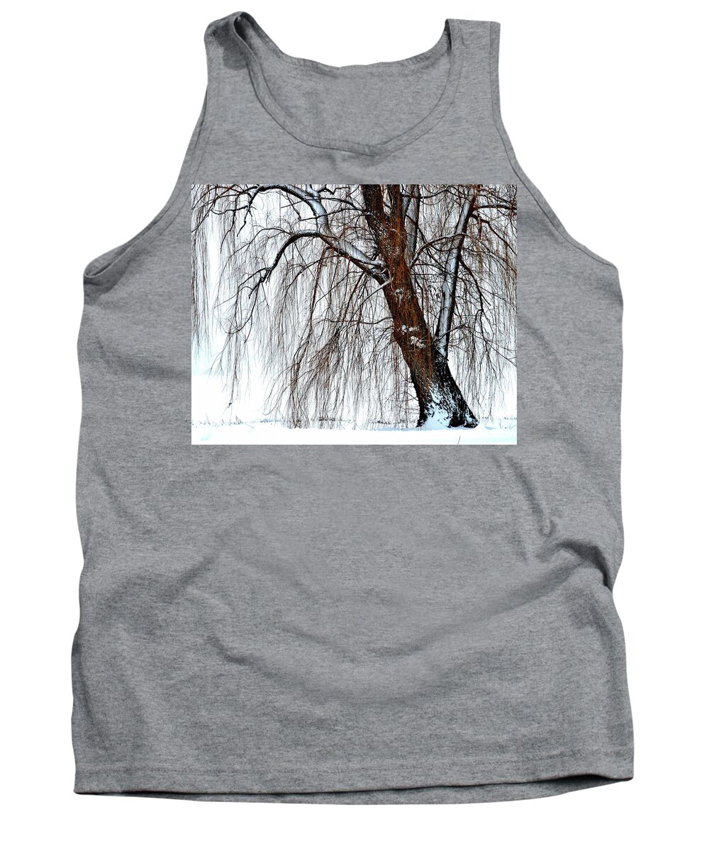 Willow Tree Tank Top featuring the photograph Winter Willow by Susie Loechler