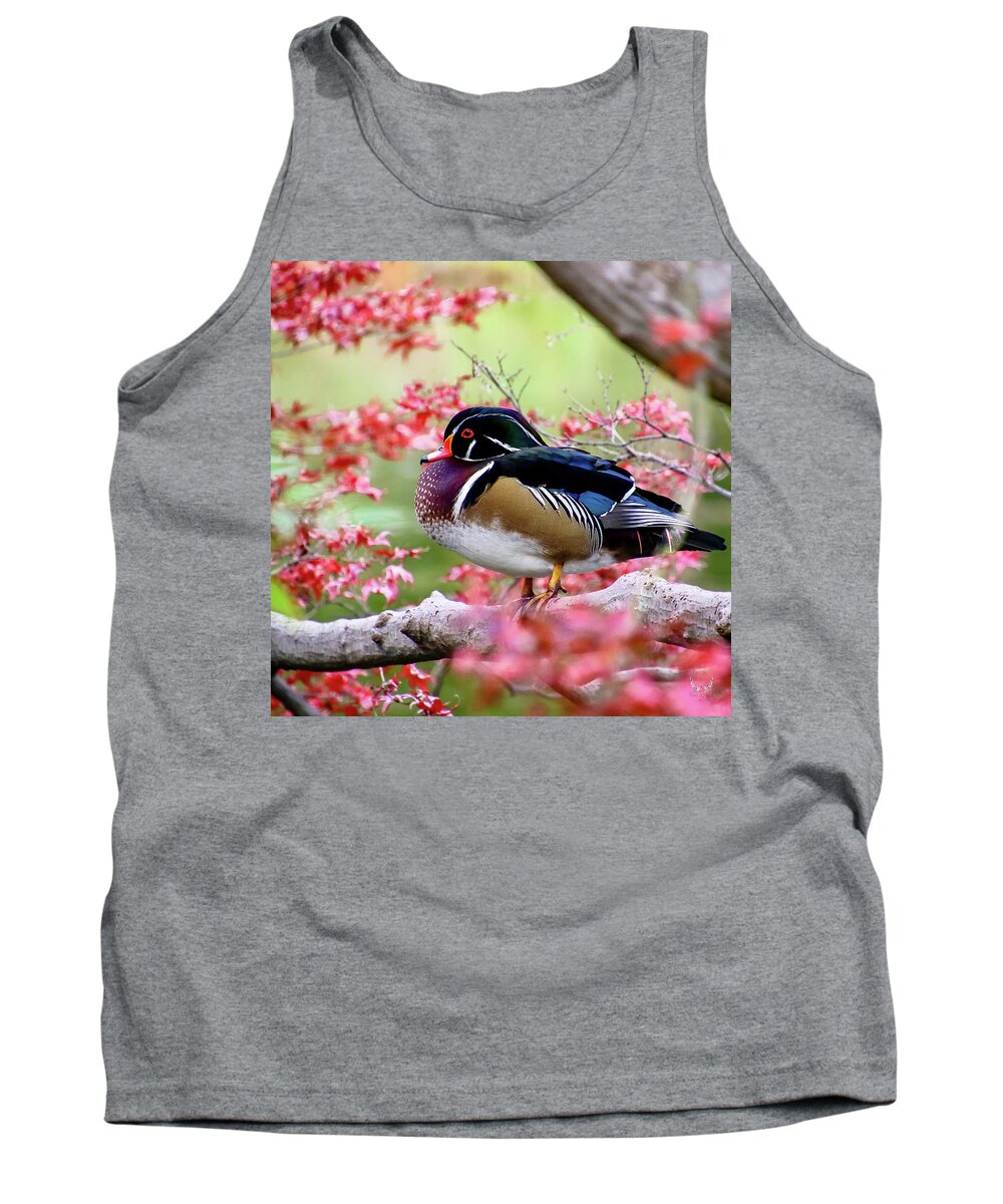 Duck Tank Top featuring the photograph Wood Duck by Pam Rendall